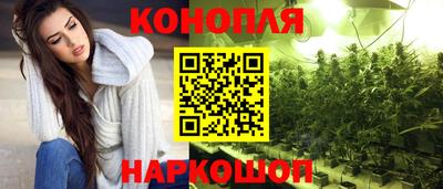 сатива Заводоуковск