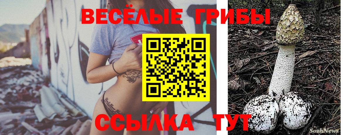 Лосино-Петровский  Галлюциногенные грибы Magic Shrooms  Псилоцибиновые грибы GOLDEN TEACHER  Вход с VPN 