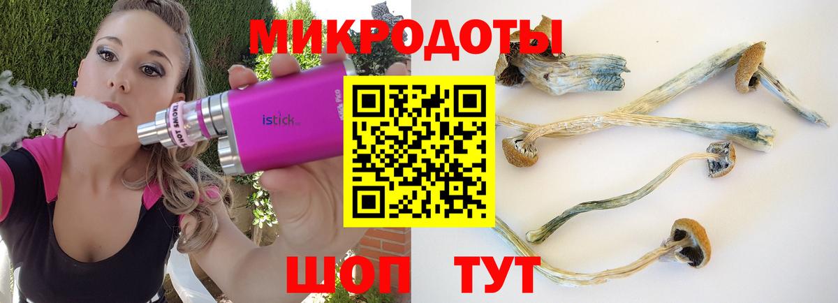 Псилоцибиновые грибы Psilocybe Лосино-Петровский